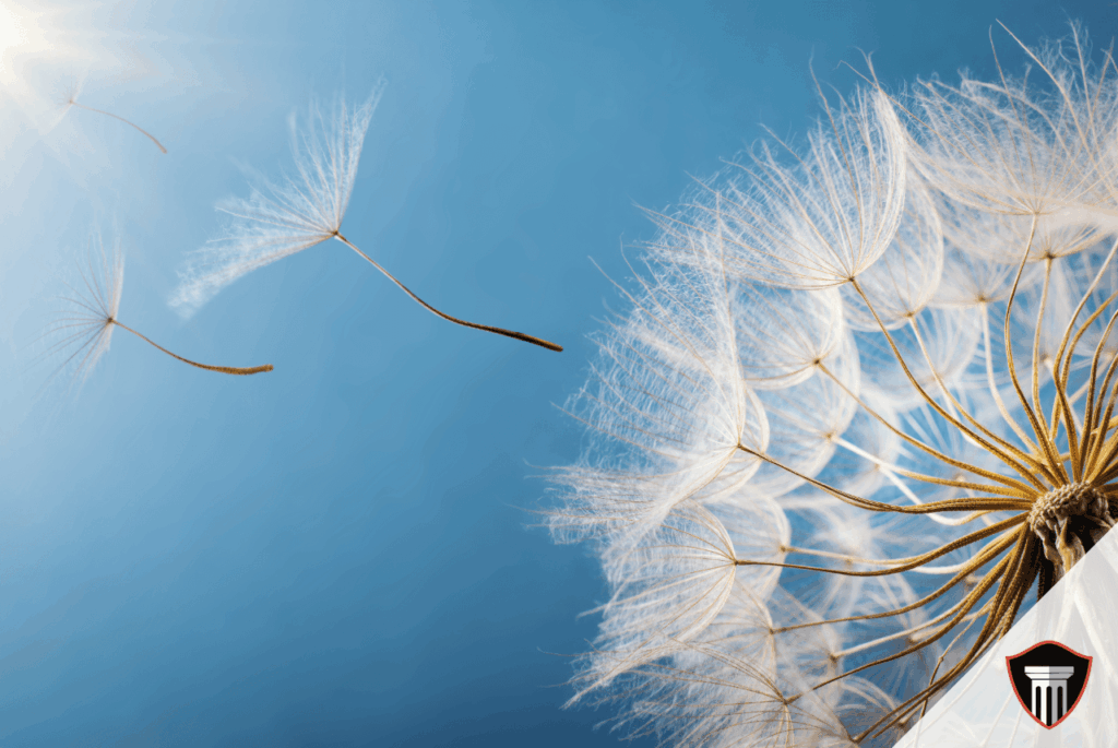 Explore retirement tax planning strategies that integrate year-to-year choices with your broader financial plan.